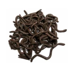 Behr Ringelwurm Natur dunkelbraun 33 Stk.| Sonstige Angelköder|Sonstige Angelköder