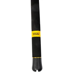 Black Cat Perfect Passion XH-S 2,40m 600g Allround  Welsrute| Waller Allroundruten|Wallerruten