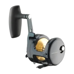 Daiwa 25 Saltiga (G) 35L Multirolle| Heilbuttrollen|Dorschrollen