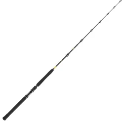 Daiwa BG Big Game 1.68m 20-30lbs Bootsrute| Heilbuttruten|Dorschruten