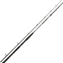 Daiwa Powermesh CF Boje 3,00m 150-400g Welsrute| Hechtrute|Köderfischruten Dead Bait