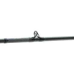 Daiwa Prorex AGS BC Finesse 2.05m 3-14g Baitcast-Rute| Barschrute|Forellenrute