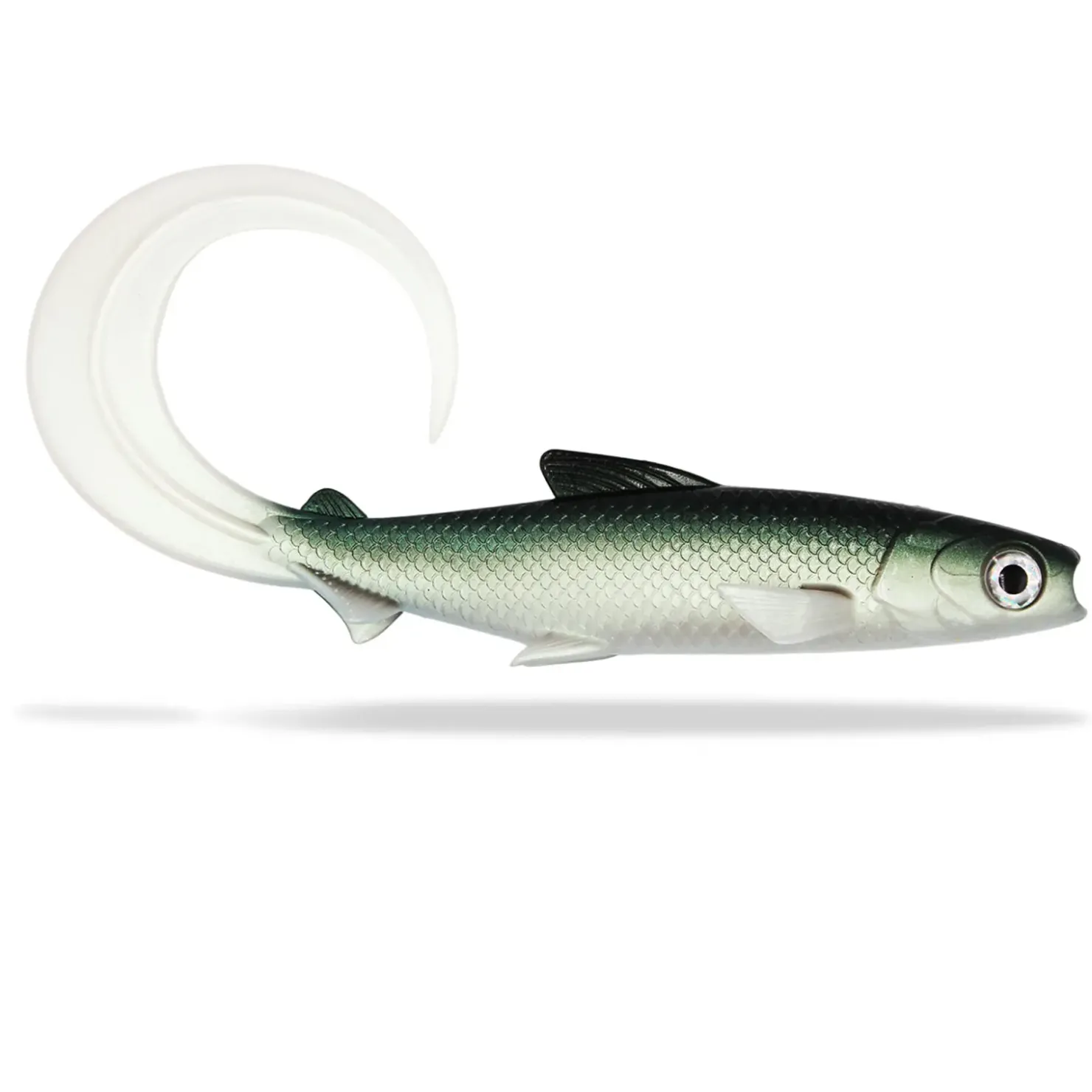 FishingGhost Renky Shad CRL 35cm Curly Tail Gummifisch| Xxl Köder. Big Baits|Hechtsaison