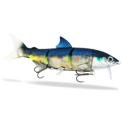FishingGhost RenkyOne 25cm Hybrid Swimbait| Schleppwobbler|Xxl Köder. Big Baits