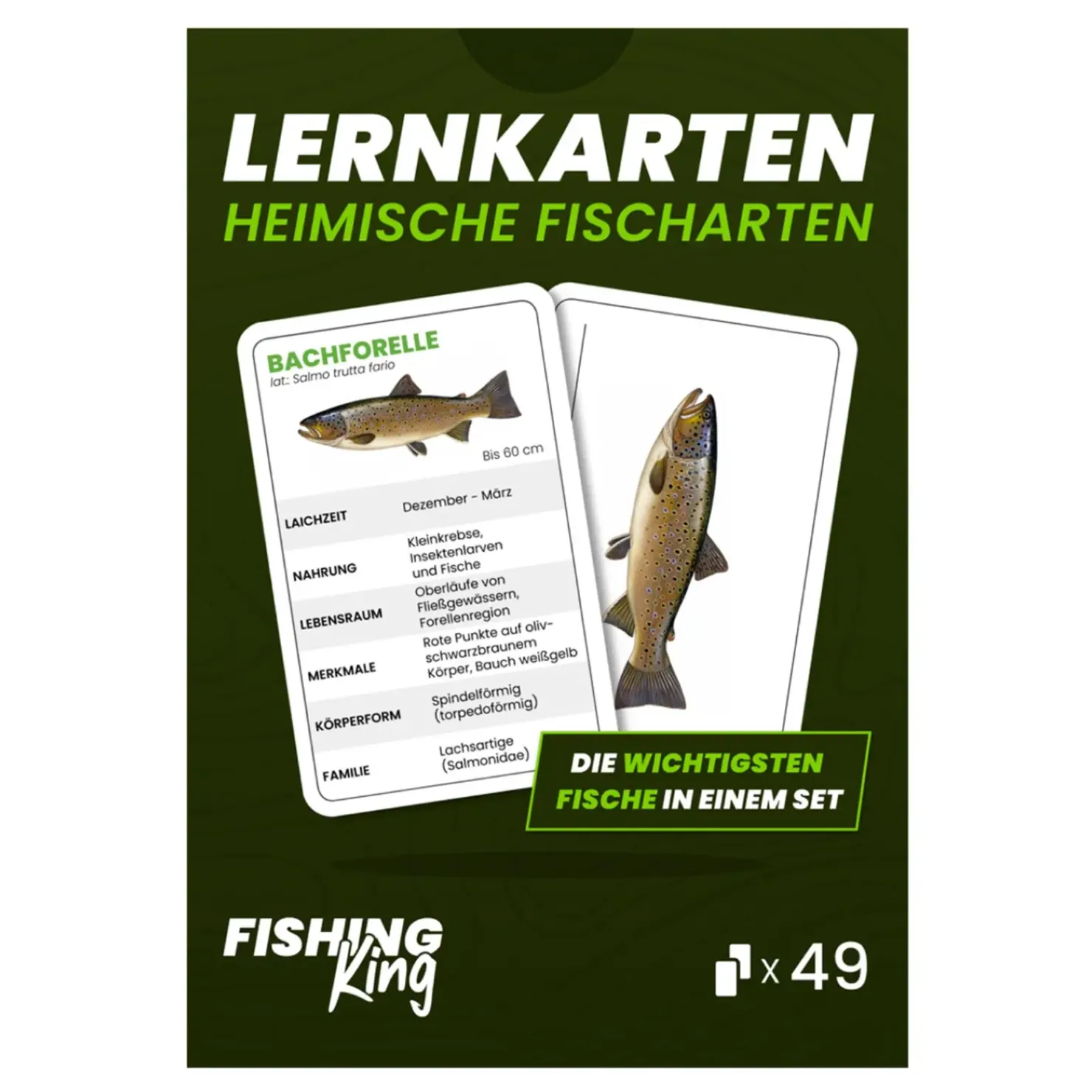Fishing King Fishing-King Fisch-Lernkarten| Angelzubehör Kleinteile