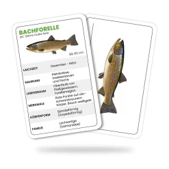 Fishing King Fishing-King Fisch-Lernkarten| Angelzubehör Kleinteile