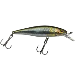 Illex Squad Minnow 65 SP Wobbler| Barsch Wobbler|Wobbler