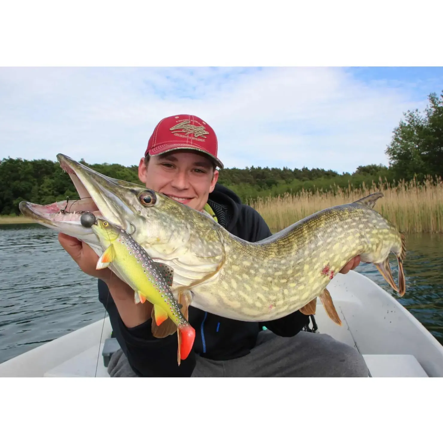 Jackson The Trout 23cm Gummifisch| Huchen Köder|Hecht Gummifisch