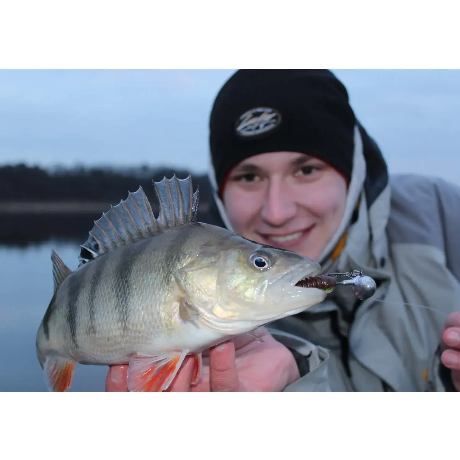 Jackson The Worm 15,0cm Gummiköder| Hecht Gummifisch|Hechtsaison