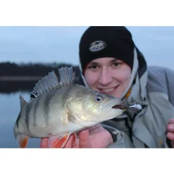 Jackson The Worm 7,5cm Gummiköder| Zanderköder|Zander Gummifisch