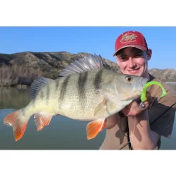 Jackson The Worm 7,5cm Gummiköder| Zanderköder|Zander Gummifisch