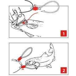 Jenzi Fish-Lock Fischgalgen| Angeln Spezial