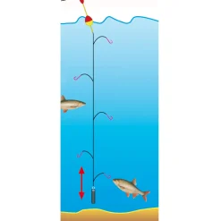 Jenzi Premium Hegene Berta Gr.14 – 5 Nymphen| Hegene|Renken Hegene