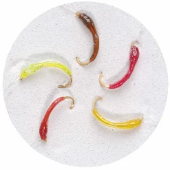 Jenzi Premium Hegene Dora Gr.14 – 5 Nymphen| Hegene|Renken Hegene