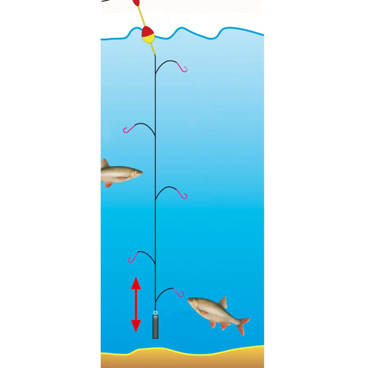 Jenzi Premium Hegene Emil Gr.14 – 5 Nymphen| Hegene|Renken Hegene