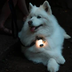 LEDLENSER ML4 WarmLight Laterne| Campinglampen