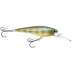 Lucky Craft Bevy Shad 75SP Wobbler| Wobbler|Barsch Wobbler