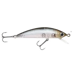 Lucky Craft Humpback Minnow 50 SP Wobbler| Barsch Wobbler|Forellen Wobbler