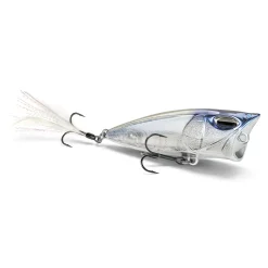 Nays TP GN 65 Popper Oberflächenköder| Barsch Topwater-Köder|Oberflächenköder