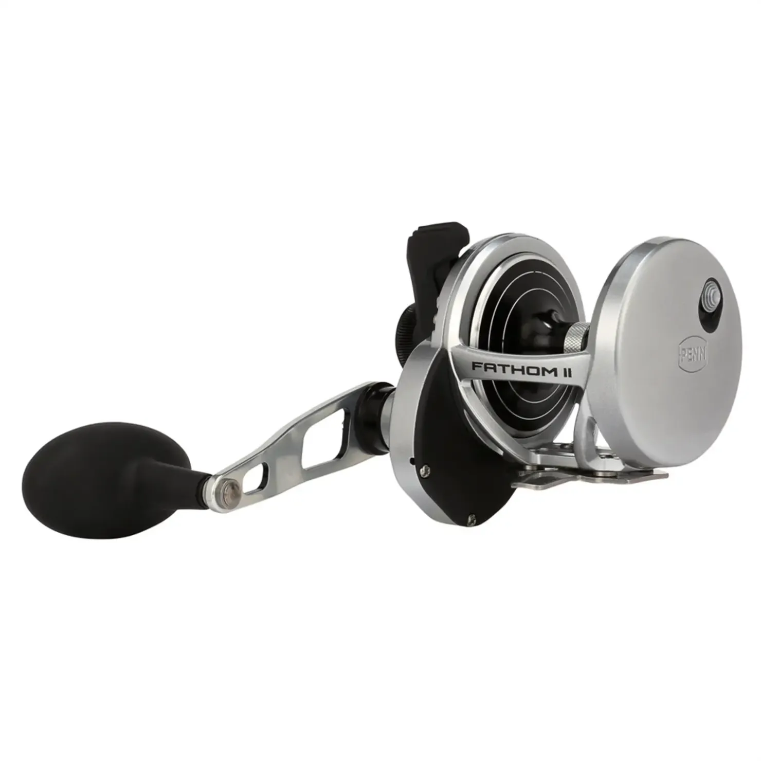 Penn Fathom II 30 Multirolle| Dorschrollen|Heilbuttrollen