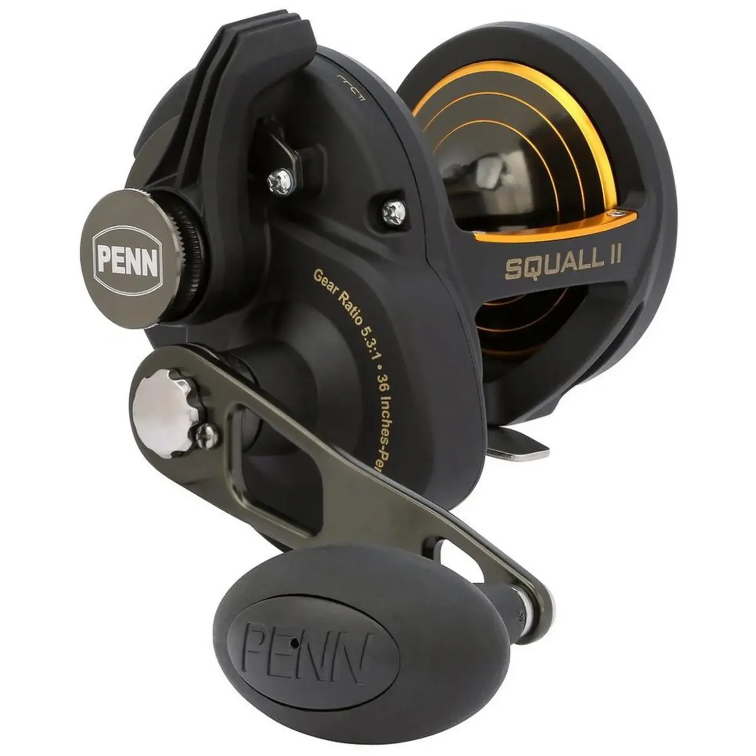 Penn Squall II SQlII25LD Multirolle| Heilbuttrollen|Dorschrollen