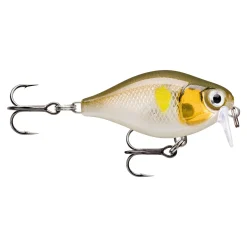 Rapala X-Light Crank Shallow Runner 03 Wobbler| Forellen Wobbler|Wobbler