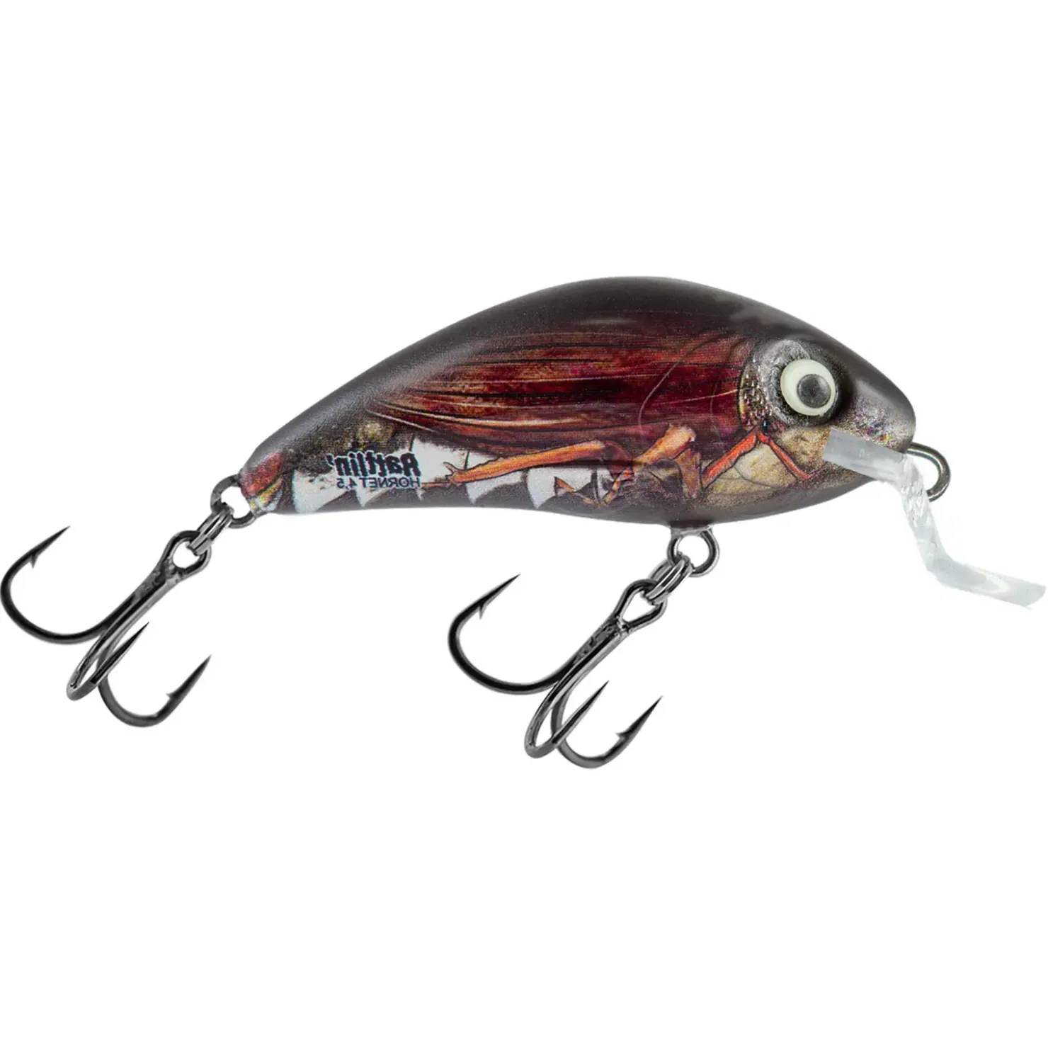 Salmo Rattlin Hornet Shallow Floating 3,5cm Wobbler| Forellen Wobbler|Wobbler