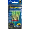 Behr Sea Norwegen-Paternoster XXL No.2 #2/0| Dorsch Beifänger|Rigs & Beifänger