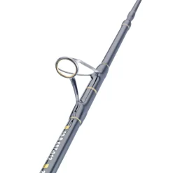 WFT Cool Sea Special Fjord 2pc. 2,10m 25lbs 30-300g Meeresrute| Heilbuttruten|Dorschruten