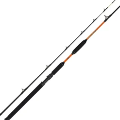 WFT Never Crack Bank Cat II 3,15m 200-1000g 2 Teile Wallerrute| Waller Stellruten|Wallerruten