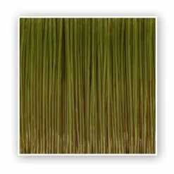 Zebco Trophy Hecht 0,35mm 300m TOP Angelschnur| Spezial Angelschnur|Monofile Angelschnur