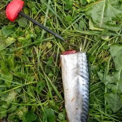 Zeck Fishing Zeck DB Pop Up Half-Ball 2pcs Auftriebskörper| Angelzubehör Kleinteile