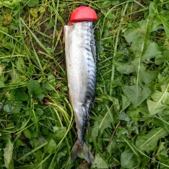 Zeck Fishing Zeck DB Pop Up Kit 3pcs Auftriebskörper| Angelzubehör Kleinteile