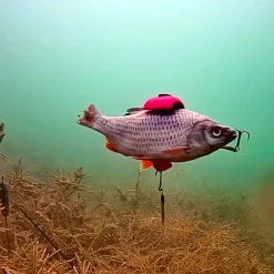 Zeck Fishing Zeck DB Rucksack Float S 2pcs Auftriebskörper| Angelzubehör Kleinteile