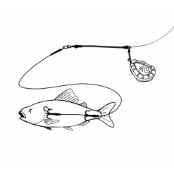 Zeck Fishing Zeck Dead Bait Bottom Boom Kit Grundmontage| Angelzubehör Kleinteile|Zubehör Bleie